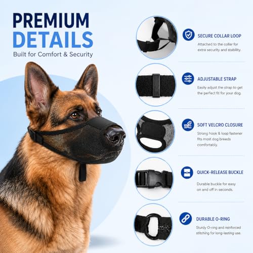 Image of Dog Muzzle, G-Mesh-Black-L-2026705AASASDSDSDSDVVVV
