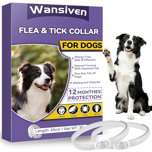 Wansiven Collier Anti Puces pour Chien, 65cm Réglable Collier Anti-Puces et Tiques pour Chiens et Imperméable, 12 Mois Protéger (Violet, 65 cm-2p)