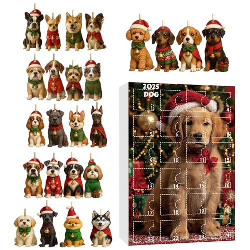 p Ahxg JEg_E J_[ - ėp\ AN tbg LOi,24 JEg_E J_[  e[} I[ig - ǃhA}gc[ybgDƎqp