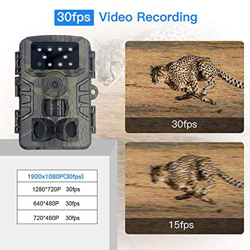 Caste Wildkamera Fotofalle 120 ° Weitwinkel 20MP 1080P Leuchtarme Infrarot-LEDs Mit Bewegungsmelder Nachtsicht… – Bild 6