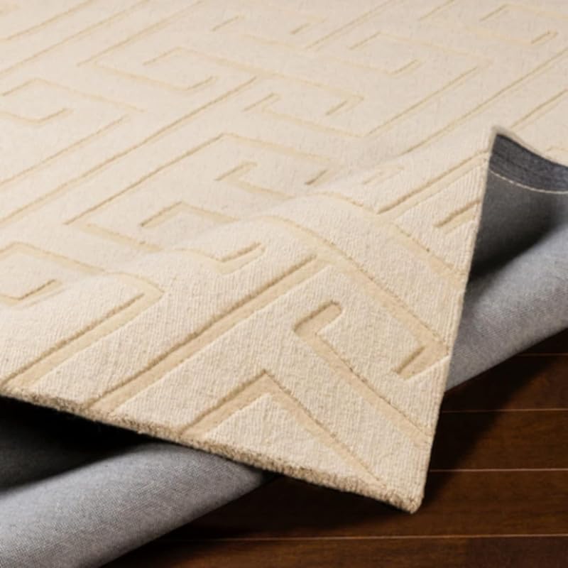 Image of Hand Tufted Modern Design Exported Collection High Low Pattern Wool Carpet for Living Room, Bedroom & Hall (Beige C, 4 x 6 Feet)