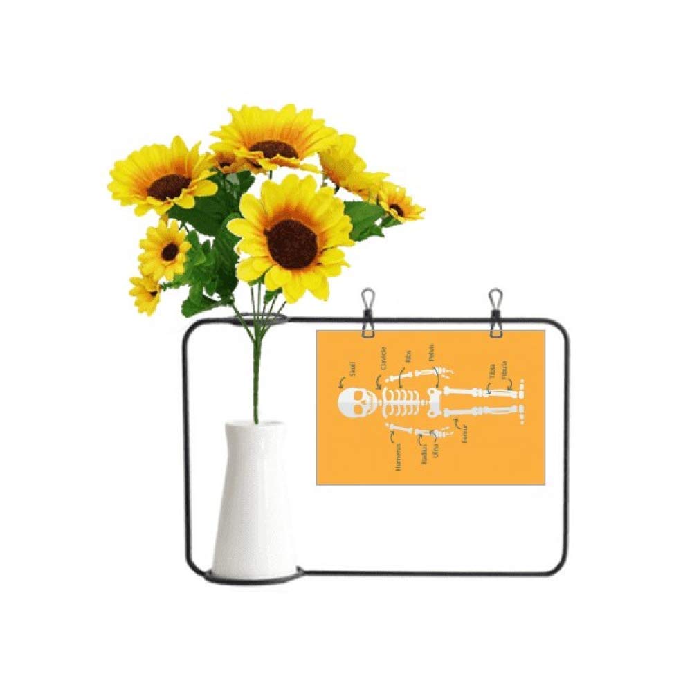 Carte de bénédiction os humain tournesol pour message inoubliable