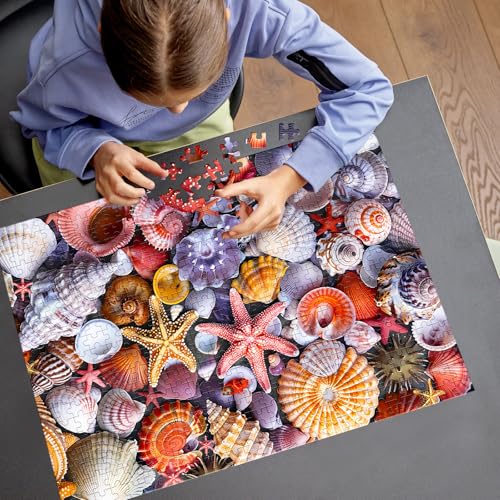 Image of 500 Pieces Jigsaw Puzzles for Adults-Colorful Beach Shells Puzzle for Adults Children Elderly-Recycled Paper Puzzle 500 Pieces-Glossy, Sturdy Pieces Challenging Family Game Great Gift Idea (20.5x15in)