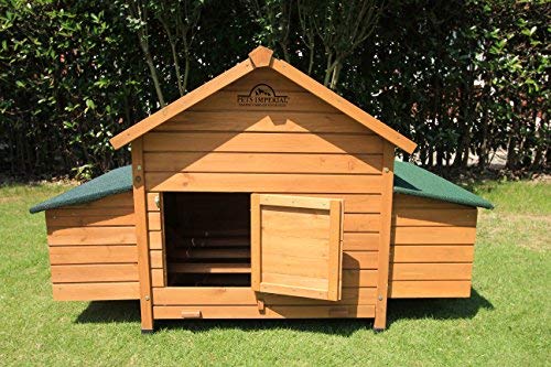 Pets Imperial® Savoy Hühnerstall mit Doppelnistkasten - 6 einzelne Nistplätze - 150 cm (B) x 100 cm (T) x 96 cm (H) – Bild 5