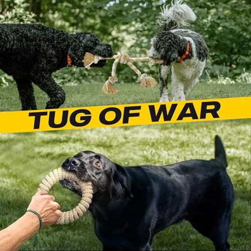 Fida Hundeseilspielzeug für große Hunde, 4 Set, unzerstörbares Hundespielzeug zum Tauziehen, 100% natürliche Baumwolle, Kauspielzeug für Langeweile, Ziehen, Zahnreinigung