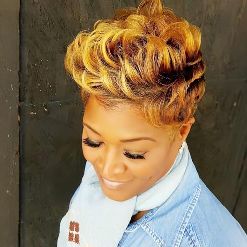 BeiSDWig Short Hairstyles for Women Ombre Blonde Brown Hair Wigs for...