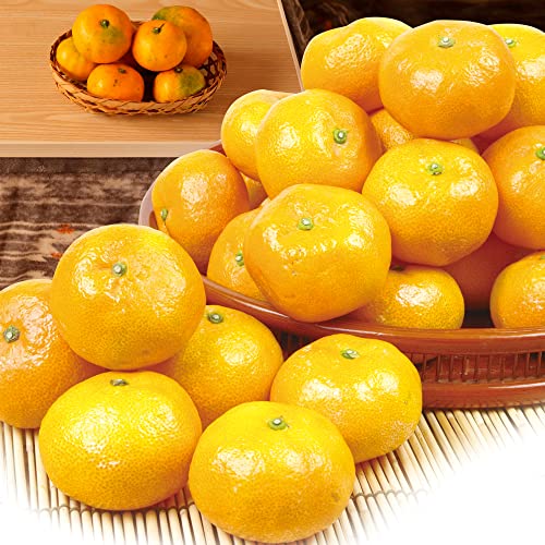 ݂ 10kg ݂ F{Y k B ʕ t[c Hi