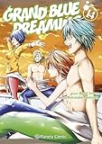 Grand Blue Dreaming nº 14 (Manga Seinen)