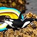 Safari Ltd. Wild Safari Sea Life Orca Figurine - Realistic 6