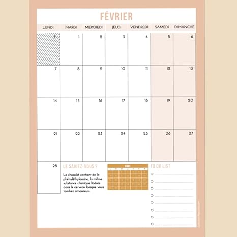 Calendrier Juin 2023 Grandes Cases Calendrier Mural 2022 • Grandes Cases Pour Écrire • Organiseur Familial Et  Bureau • Coloré • Planning Format A4 • Accroche Au Mur • To Do List •  Popcarte : Amazon.fr: Fournitures De Bureau
