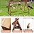PETSFIT Chicken Roosting Bars for Hens with 2 Swings,Chickens Perch for Pet's Healthy and Play,Chicken Coop Accessories for 6-8 Chickens,Easy to Assemble and Clean