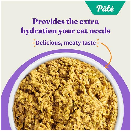 Halo Pate Wet Cat Food, Real Salmon Recipe, 5.5 oz Can, 12-Pack - image 4
