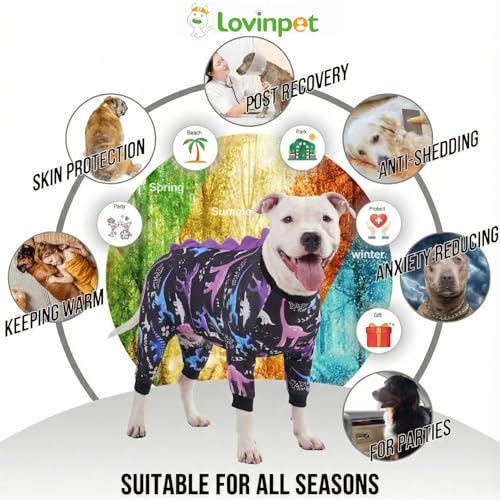 Pyjama chien protection UV combinaison pour balade et maison - 6