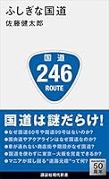 ふしぎな国道 (講談社現代新書)