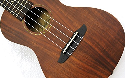 Concert 24" Ukulele, Koa Wood. Aquia Strings #TOP4