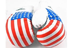 Shelter Kids American USA Flag 10 oz Boxing Gloves Costume for Kids