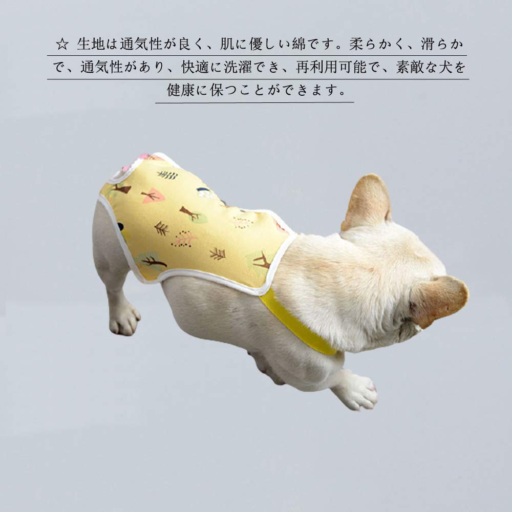 【新品未使用】犬と猫の病態生理 NK HX 一番わかりやすい実践入門書 SO ZC