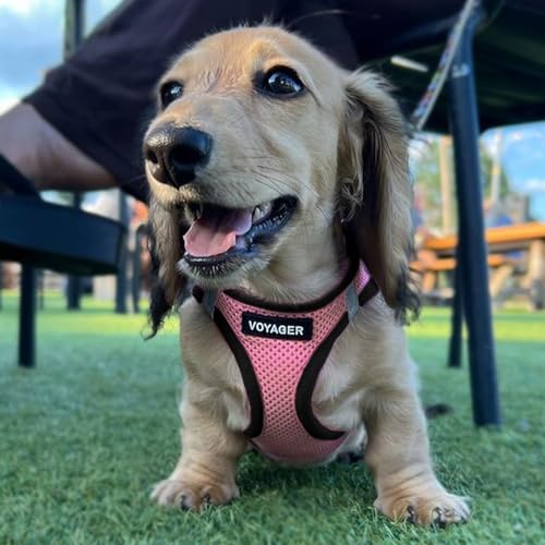 Image of Best Pet Supplies - All Weather Mesh /Plush, Reflective, No Pull Harness for Small, Medium Dogs, Cats - Secure with Hook & Loop Fastener, Buckle, Double D-Rings - Pink /Black Trim, M