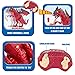 FUN LITTLE TOYS Remote Control Dinosaur Toys for Kids, Realistic Electronic Walking Robo Alive Dragon with Lights and Sounds 17