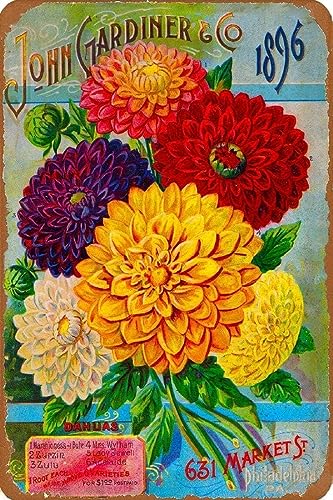 AJ AeB[N Ŕ̃uLŔ 20X30cm 1896WK[fBi[_re[WԎqpPbgLA[gvg Be[W uL Ŕ AJ W 20X30cm