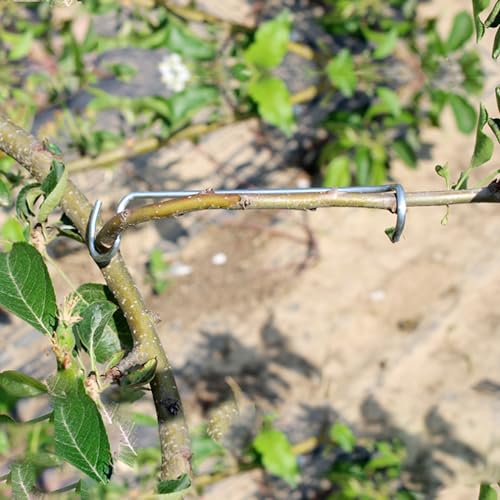 Separadores de ramas para árboles frutales 20 piezas miniatura 3