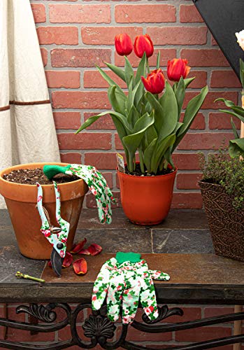 Garden Tools Set (4 pcs) - Garden Shears, Trowel, Hand Cultivator - Floral Gardening Tools for Women - Gardening Supplies Gardening Kit - Great Gardening Set for Outdoor and Indoor Gardening