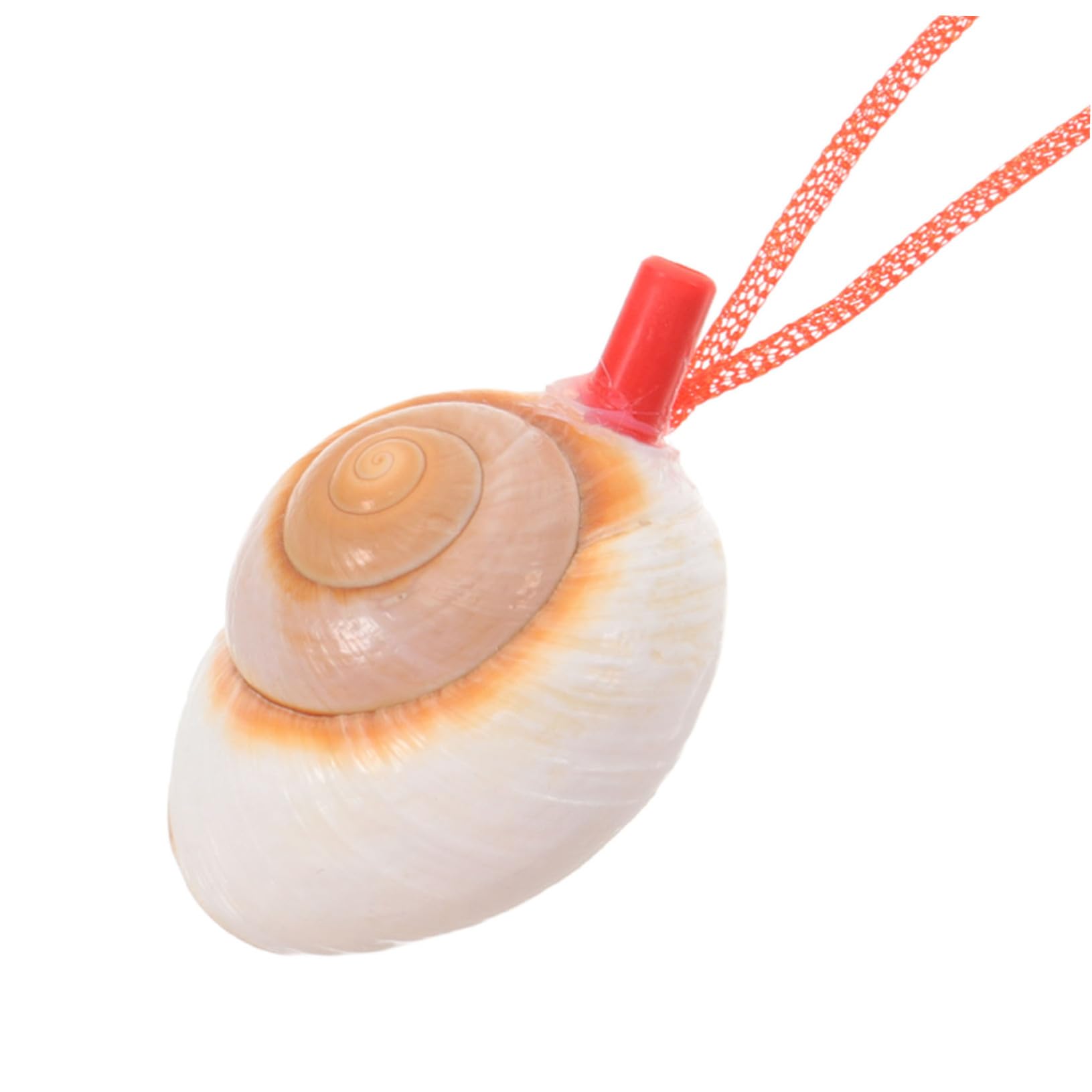 Amazon | VINTORKY 天然の巻き貝を使った貝殻の角笛 大きな貝殻の角笛