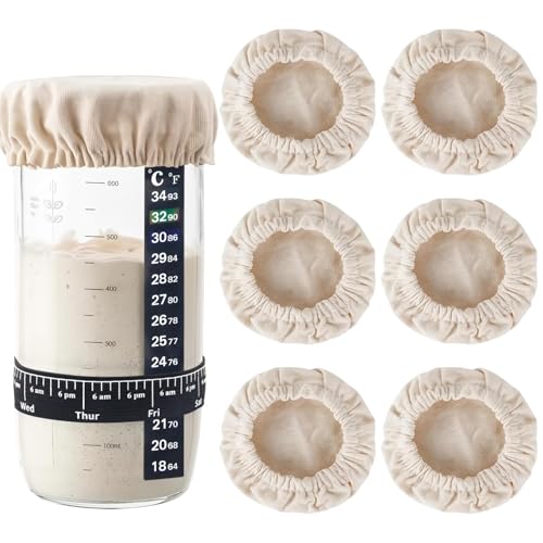 What are the Best  container to keep sourdough starter in Review