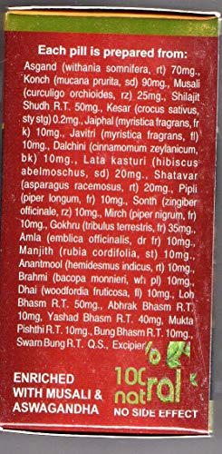 Ayurvedic Raj Vaidya Rasayan Vati 60Tablets