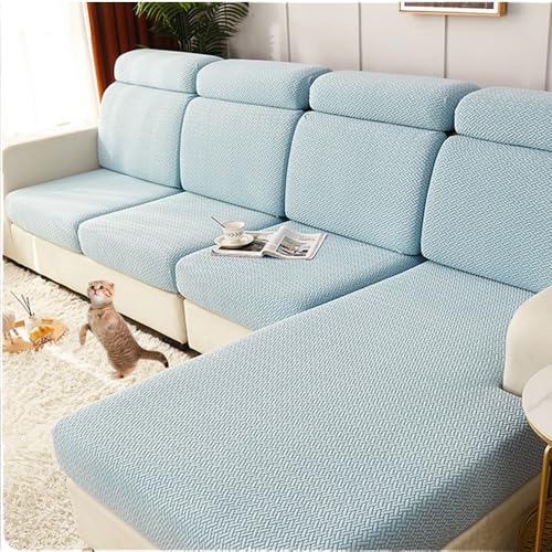 \t@[wJo[ NbVJo[ L JE`Jo[ Lkf ho kX^C   L  h~ [֗ lGʗp Mܐ gLeBu[ [WTCY4l|