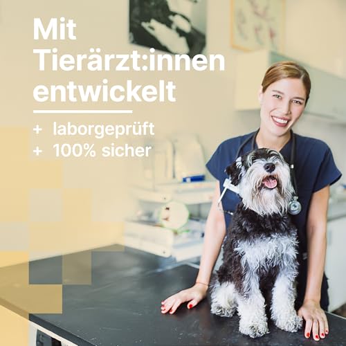 MediBark Magen & Darm - Hundeleckerli mit Ulmendrinde & Engelwurz - gegen Übelkeit & Durchfall - für Gras- & Kotfresser - unterstützt Verdauung & Darmflora - Glutenfrei & Zuckerfrei - 225 Stück