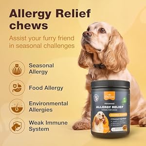 Dog allergy relief chews  allergy relief for dogs itching  anti itch for dogs  itchy skin  seasonal allergies relief  hot spot treats with probiotics apple cider vinegar  dog itch relief   cucciolini doodles