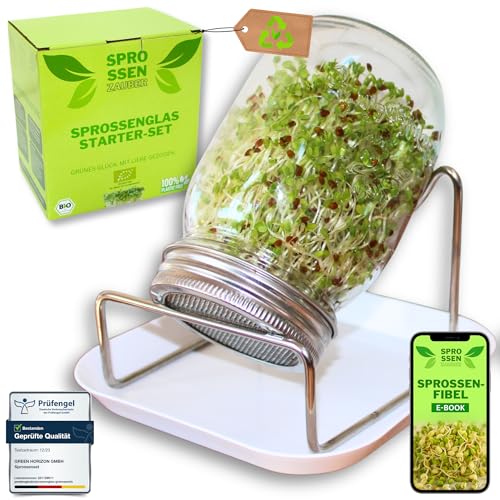 Green SEEDS Sprossenzauber® Sprossenglas 1er Set 500ml – Edelstahl-Deckel & Auffangschale – Sprossen selber ziehen – Keimglas für Brokkoli, Alfalfa, Kresse – Einsteiger-Set für frische Microgreens