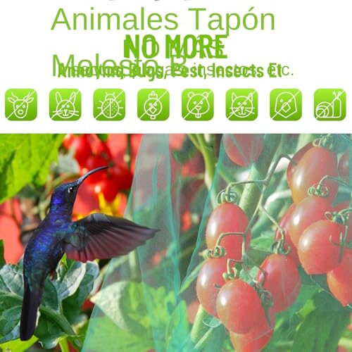 Malla para plantas para evitar daños en hortalizas con cobertor transparente 6