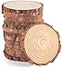 Dischi Legno Senza Buco Diametro 10-12cm10mm Spessore 10 Pz Naturale Legno da Decorare Natale Fai da Te Segnaposto Legno Adatti per Pirografo, Intagliare, Disegnare