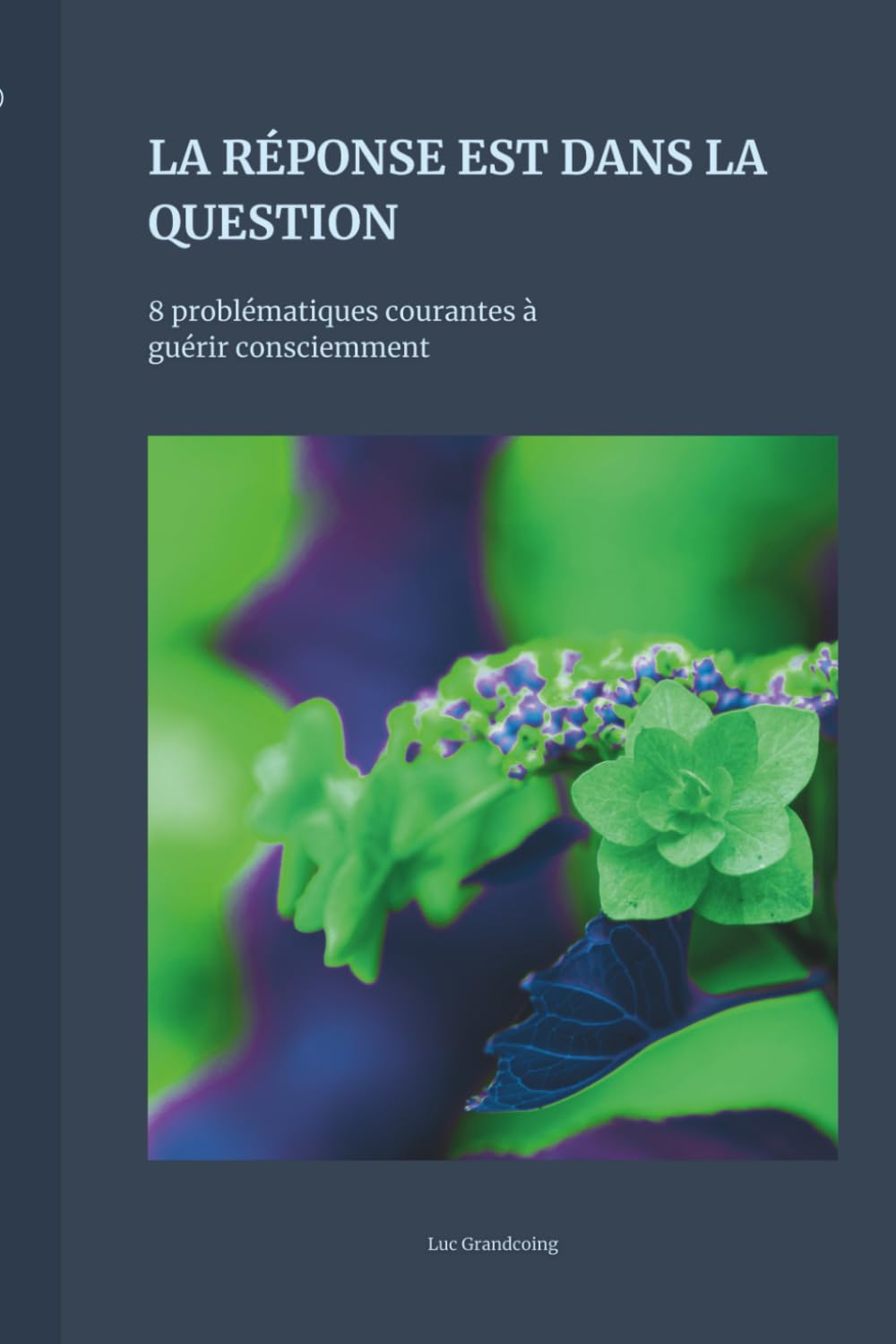 LA RÉPONSE EST DANS LA QUESTION: 8 problématiques courantes à guérir consciemment