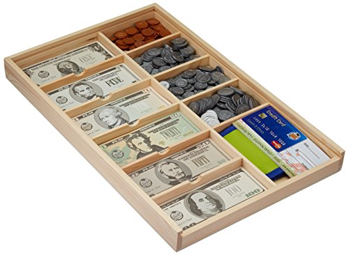 Learn & Climb Educational Play Money Set - Over 560 Pieces. Replica of Bills-Coins-Wallet-CC-Checks+ Lid.