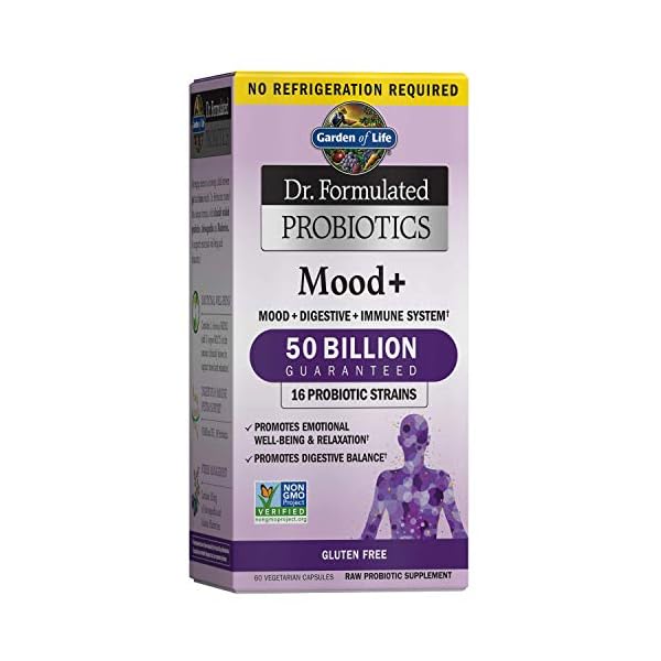Garden of Life Dr. Formulated Probiotics Mood+ Acidophilus Probiotic Supplement - Promotes Emotional Well-Being, Relaxation and Digestive Balance - Ashwagandha for Stress Management, 60 Veggie Caps