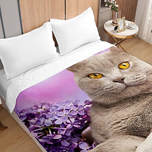 Surwin Trapuntino Copriletto Trapuntato