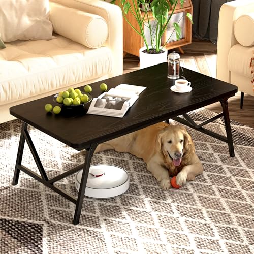 QUERNA Folding Coffee Table No Assembly Low Coffee Table Floor Table Desk for Sitting on The Floor Portable Floor Table for Living Room Home Caravan and use 31.5L x 15.8W x 15.8H