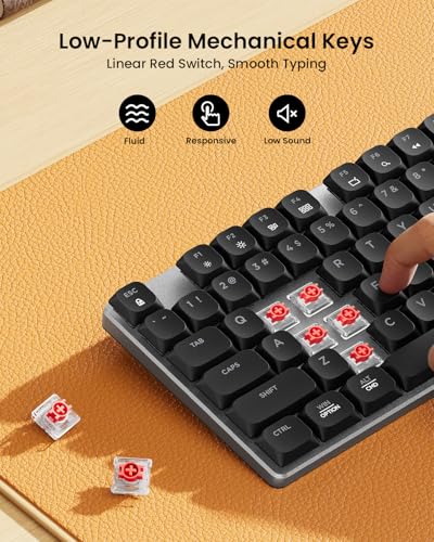 Image of ProtoArc KM310 Wireless Mechanical Keyboard and Mouse, No Backlight