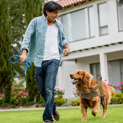 Ennoxwi Hundegeschirr L für Mittelgroße und Große Hunde, Verstellbares Anti-Zug Brustgeschirr, Atmungsaktives und Gepolstertes Hundegeschirr für Training, Walking und Outdoor-Aktivitäten, Braun