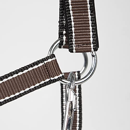 Halfter Pfiff 101517 aus Kunststoff für Pferde, Cob, Braun-Weiß-Schwarz
