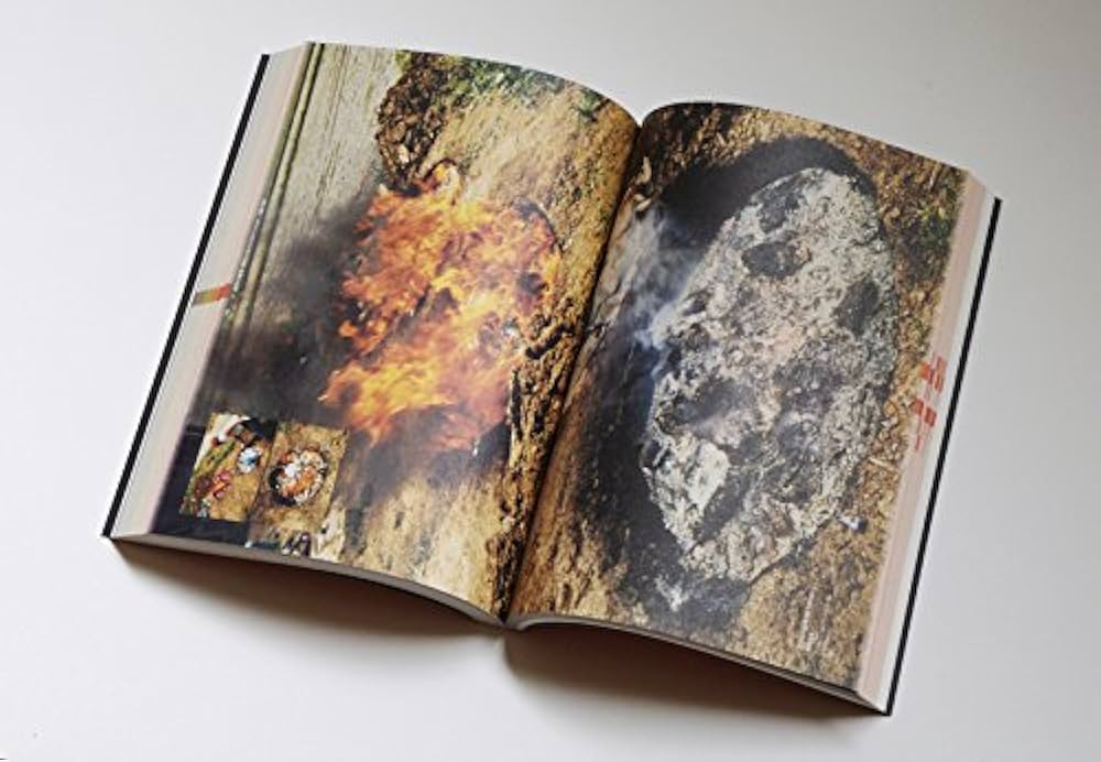 殿敷侃:逆流の生まれるところ | 広島市現代美術館 |本 | 通販 | Amazon