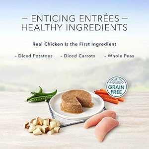 Blue Buffalo Delights Natural Adult Small Breed Wet Dog Food Cups Pate Style Grilled Chicken Flavor in Savory Juice 35oz pack of 12  Cucciolini Doodles Blue buffalo delights natural adult small breed wet dog food cups pate style grilled chicken flavor in savory juice 3 5 oz pack of 12   cucciolini doodles