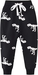 Amazon Co Jp 恐竜 服