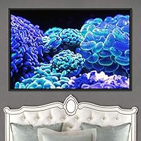 Framed Canvas Wall Art Deep Under Group Jellyfish Marine Life Multicolor Photography Realism Tropical Ultra Whimsical - 16x24 inches