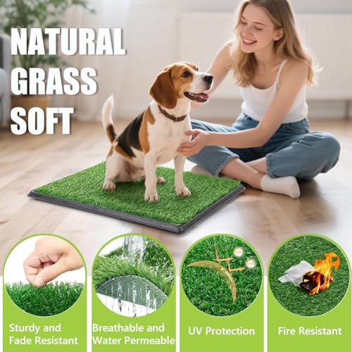 Image of Reusable Pet Grass Potty w / 2-Pack Replaceable Artificial Grass Quick Absorbent Indoor Portable Pet Training Patio Potty Washable Pee Pad Box Toliet (Large-20X30In)