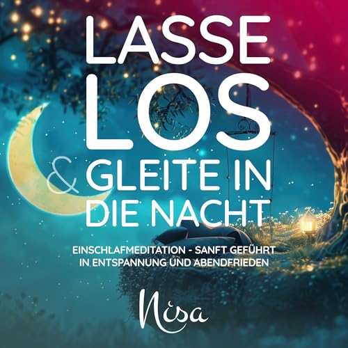 『Lasse los & gleite in die Nacht』のカバーアート