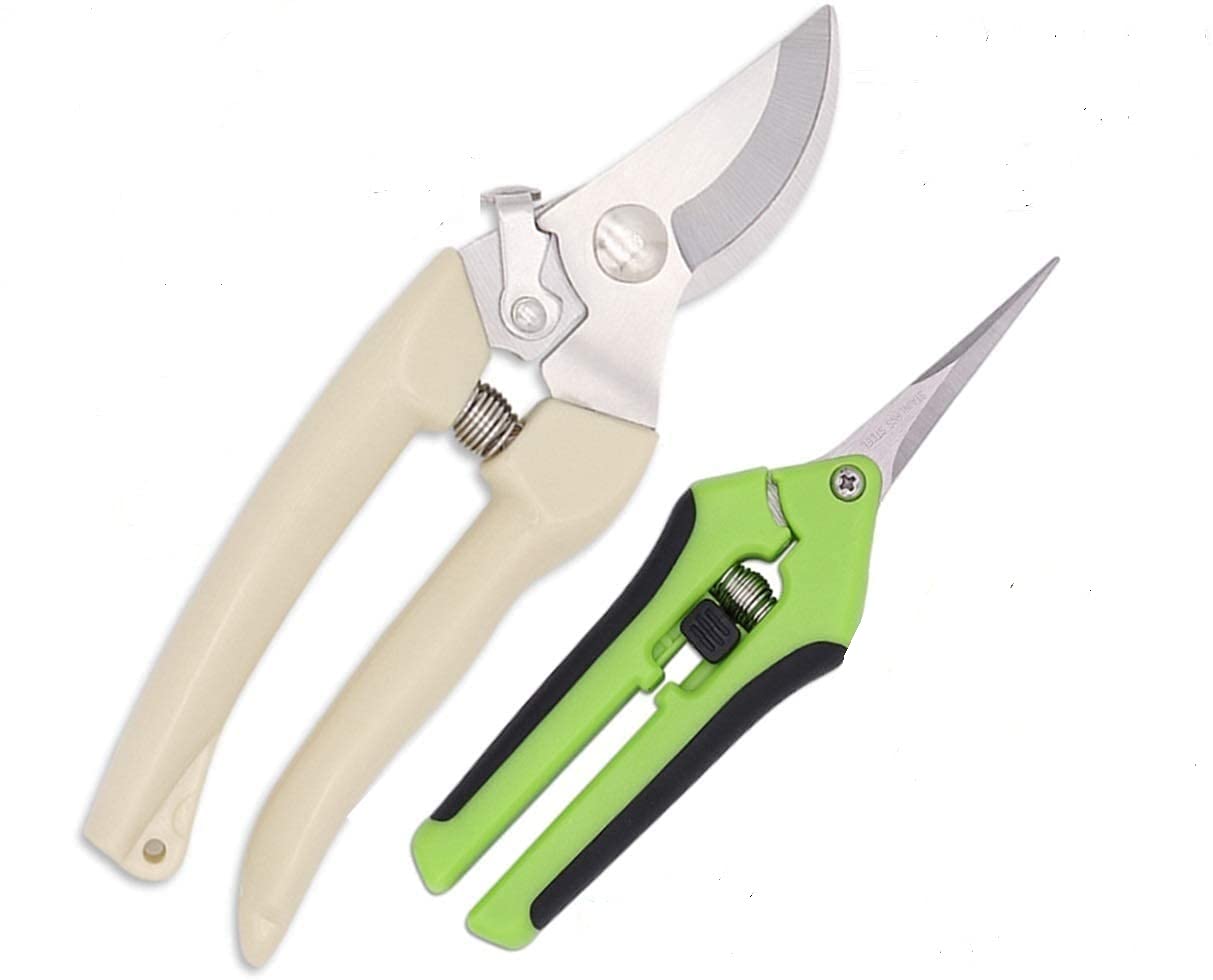 Mafra Stainless steel fruit tree pruning shears garden fruit tree shears and precision pointed blade garden pruning shears with lock (2 packs)